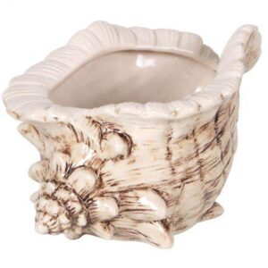 COPA CARACOLA TIKI 18x12x10 50CL