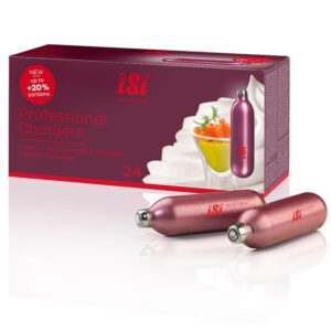 PACKx24 CARGAS PARA SIFON NATA ESPUMAS PROFESIONAL